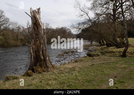 The River Wye near Builth Wells, Wales, UK Stock Photo