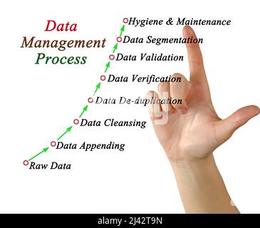 Components of Data Management Process Stock Photo