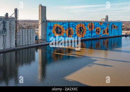 Toledo, Ohio - The Glass City River Wall, a sunflower mural by Gabe Gault, painted on the ADM grain silos on the Maumee River. Stock Photo