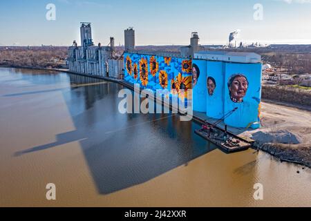 Toledo, Ohio - The Glass City River Wall, a sunflower mural by Gabe Gault, painted on the ADM grain silos on the Maumee River. Stock Photo