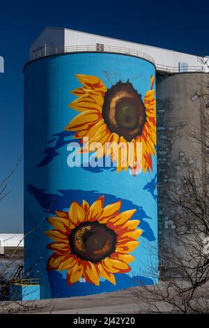 Toledo, Ohio - The Glass City River Wall, a sunflower mural by Gabe Gault, painted on the ADM grain silos on the Maumee River. Stock Photo