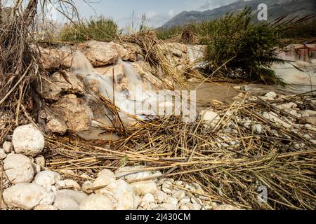 Environmental landscape of invasive reeds (Phragmites australis) tossed around by the flooding Algar river near Altea, Costa Dorada, Spain Stock Photo