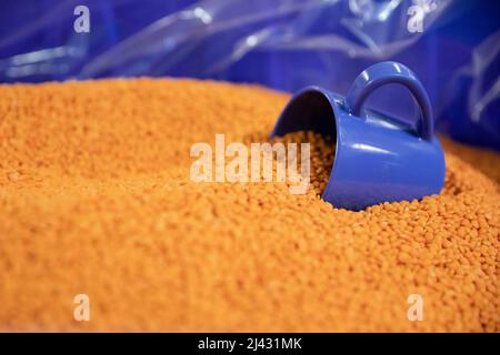 Close up of orange lentils in bin with blue cup Stock Photo