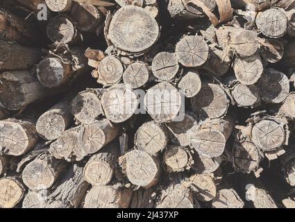 Faded picture of a firewood pile, natural abstract background. Stock Photo