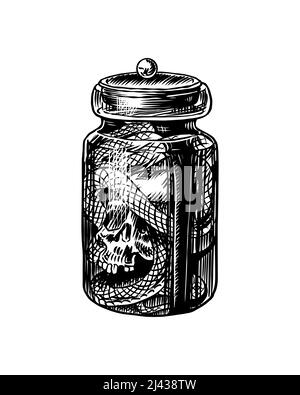 A snake with a skull in a jar. Witch poison. Arcane Esoteric icon. Vintage engraving sketch. Doodle outline. Hand drawing. Vector illustration. Stock Vector