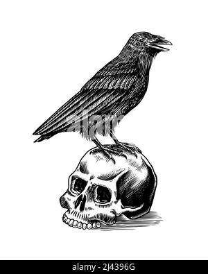 Raven and Skull  edgarallanpoe    blackwork inkedmag dotworker  raventattoo skulltattoos dotworktattoo tattoosnob btattooing    Instagram