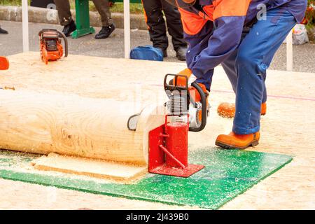 A man, as a participant in a lumberjack competition, in protective overalls, saws a tree trunk with a chainsaw. Copy space. Stock Photo