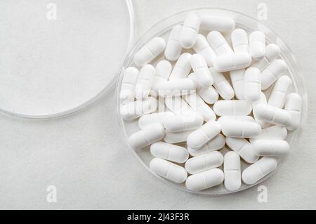 Pharmacy lab and pharmaceutical research concept with white medical pills in a petri dish isolated on white with copy space