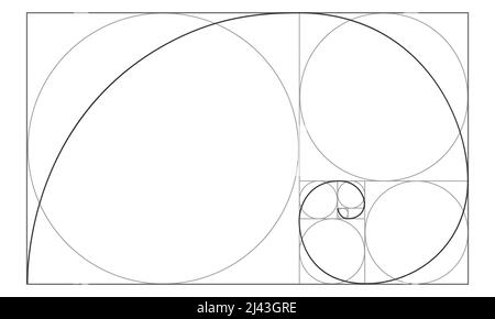 Golden ratio sign. Logarithmic spiral in rectangle with squares and circles. Leonardo Fibonacci Sequence. Ideal symmetry proportions template. Mathematics symbol. Vector outline illustration. Stock Vector