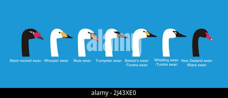 set of swan head vector icons  vecor illustration Stock Vector