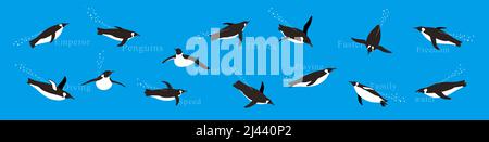Many Emperor Penguins swimming in the sea with various postures. Stock Vector
