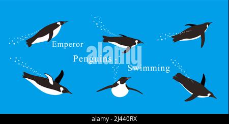 Many Emperor Penguins swimming in the sea with various postures. Stock Vector