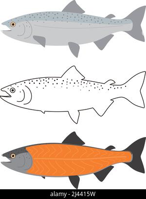 Salmon meat, seafood raw part, vector illustration Stock Vector