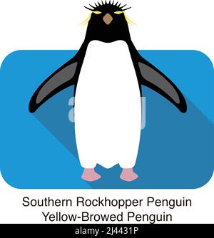 Southern rockhopper penguin standing on the ground Stock Vector