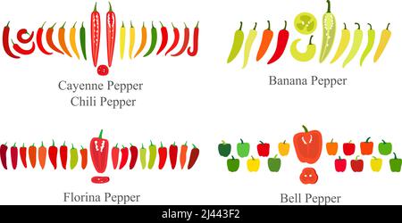 Pepper flat icon set, vector illustration Stock Vector