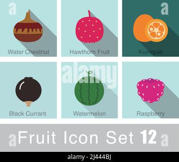 fruit icon set, vector, such as watermelon, raspberry, hawthorn fruit, black currant, kumquat, water chestnut Stock Vector