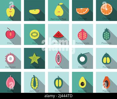 Slices of fruit icon set, vector illustration Stock Vector