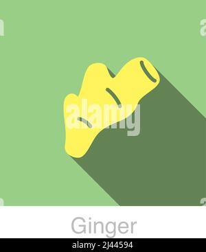 Ginger Vegetables food flat icon  vector illustration Stock Vector