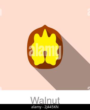 Walnut flat icon, vector illustration Stock Vector