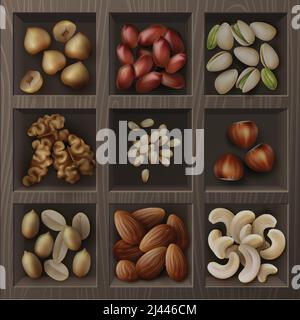 Vector set of different nuts hazelnuts, pistachio, peanuts, cashew, cedar and walnuts top view in wooden box Stock Vector