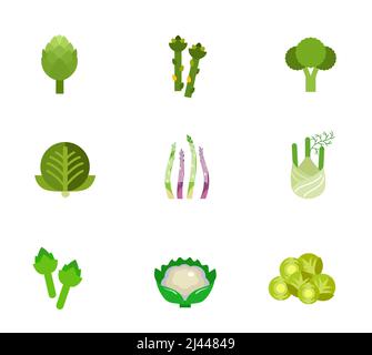 Green vegetable icon set. Artichoke Asparagus Broccoli Cabbage Asparagus stem Fennel Artichoke Cauliflower Brussel sprout Stock Vector