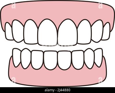 Human teeth model icon, vector illustration Stock Vector