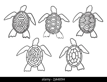 Sea turtle with abstract shell patterns doodle collection set. Vector illustration Stock Vector