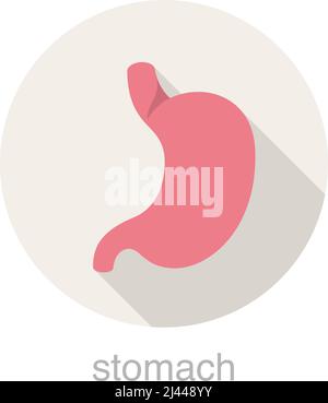 Human organ stomach flat design icon, vector illustration Stock Vector