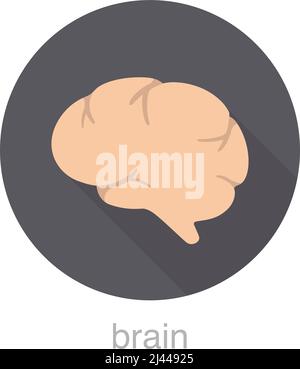 Human organ brain flat design icon, vector illustration Stock Vector