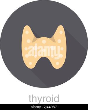 human organ thyroid flat design icon, vector illustration Stock Vector