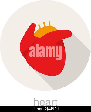human heart flat design icon, vector illustration Stock Vector