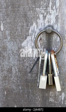 Bunch of old locks and keys hanging on wooden door brass ring handle Stock Photo