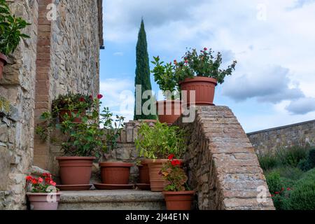 Typical Tuscan stone house decorated with flowers pots near Montalcino, Tuscany, Italy. Stock Photo