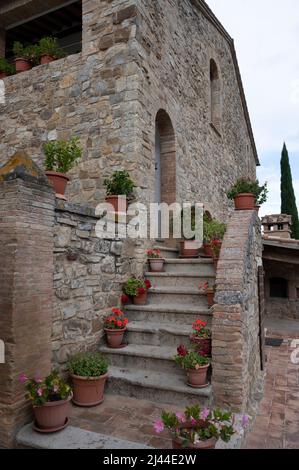 Typical Tuscan stone house decorated with flowers pots near Montalcino, Tuscany, Italy. Stock Photo