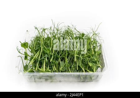 Microgreens pea isolated on white background. Fresh micro greens pea sprouts. High quality photo Stock Photo