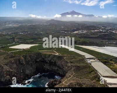 Aerial view banana tree plantation ad top of mount Teide on Tenerife near Garachico, Canary islands, Spain in winter Stock Photo