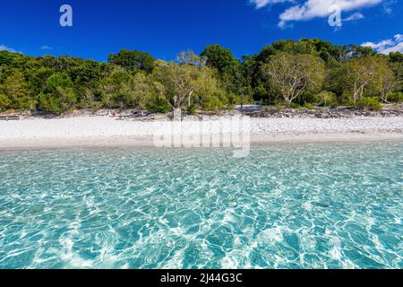 The incredible crystal clear water at Lake McKenzie on Fraser Island in Queensland, Australia Stock Photo