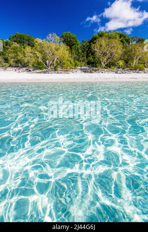 The incredible crystal clear water at Lake McKenzie on Fraser Island in Queensland, Australia Stock Photo