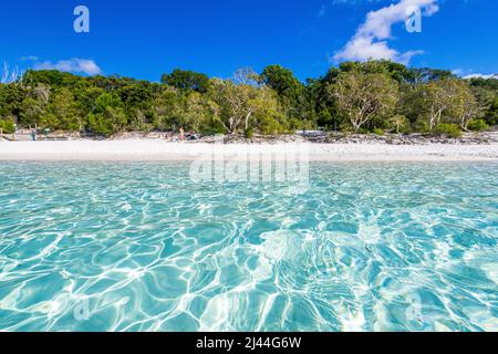 The incredible crystal clear water at Lake McKenzie on Fraser Island in Queensland, Australia Stock Photo