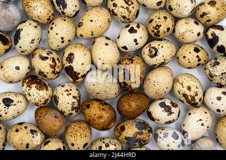 Easter composition. Easter background. Easter quail eggs. Quail eggs on gray background. High quality photo Stock Photo