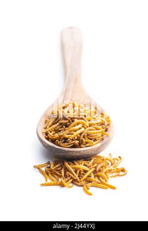 Fried salty worms in wooden spoon. Roasted mealworms isolated on white background. Stock Photo