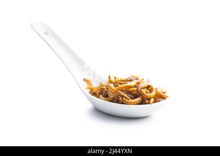 Fried salty worms in spoon. Roasted mealworms isolated on white background. Stock Photo