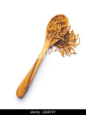 Fried salty worms in wooden spoon. Roasted mealworms isolated on white background. Stock Photo