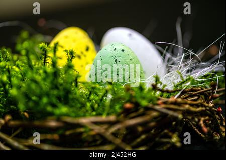 bird  nest with colorful Easter eggs on branches of green trees, easter decoration, selective focus Stock Photo