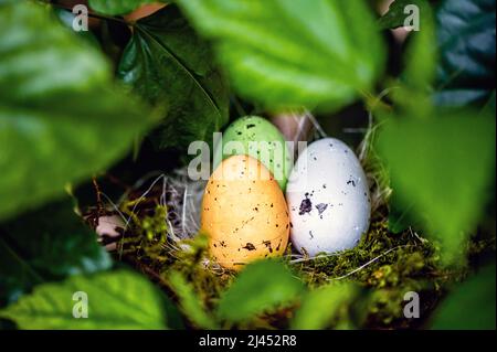 bird  nest with colorful Easter eggs on branches of green trees, easter decoration, selective focus Stock Photo