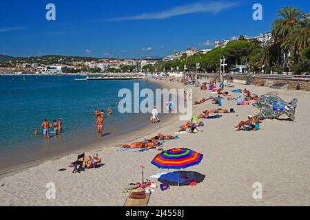 Strand und Bucht von Cannes, Côte d’Azur, Provence-Alpes-Côte d’Azur, Südfrankreich, Frankreich