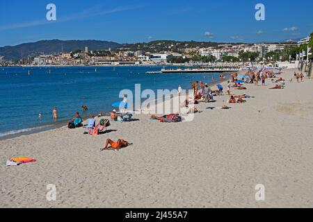 Strand und Bucht von Cannes, Côte d’Azur, Provence-Alpes-Côte d’Azur, Südfrankreich, Frankreich