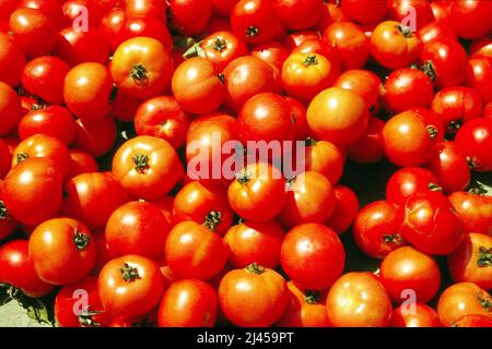 Viele frische Tomaten auf einem Haufen, Marktstand, Stock Photo