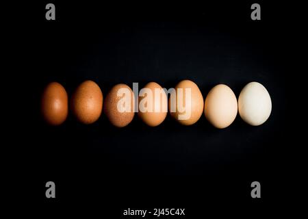Fresh multicolored raw eggs Stock Photo