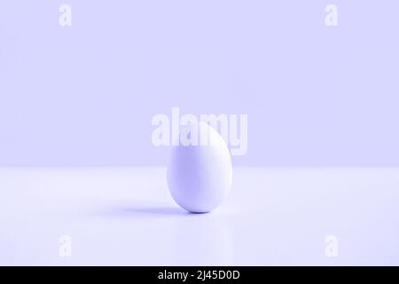 One Easter egg on violet background with copy space for text. Easter colored egg. Front view. Horizontal Banner. Poster, mock up. Simple minimalism Stock Photo